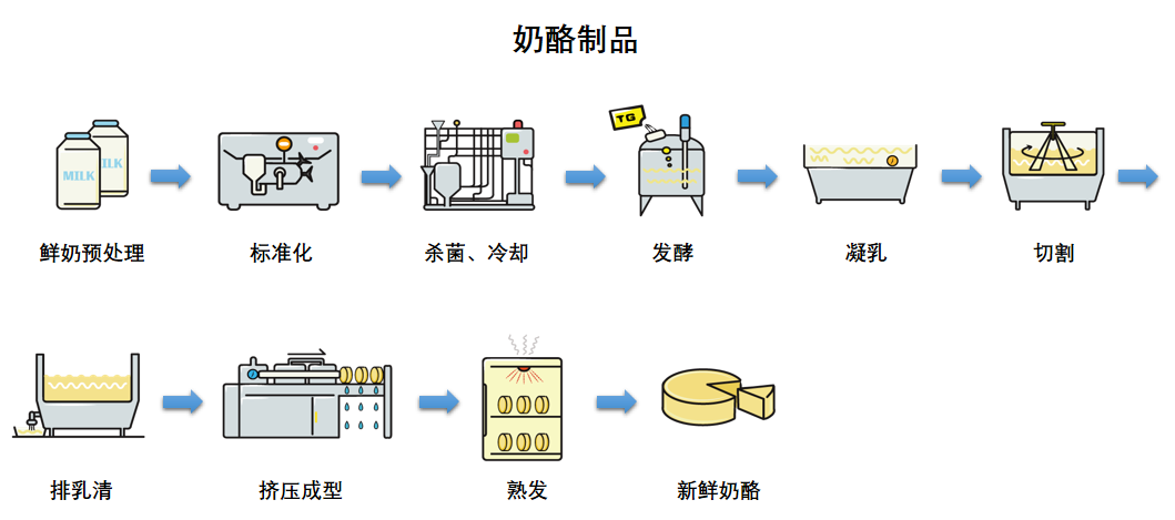 奶酪生产流程图
