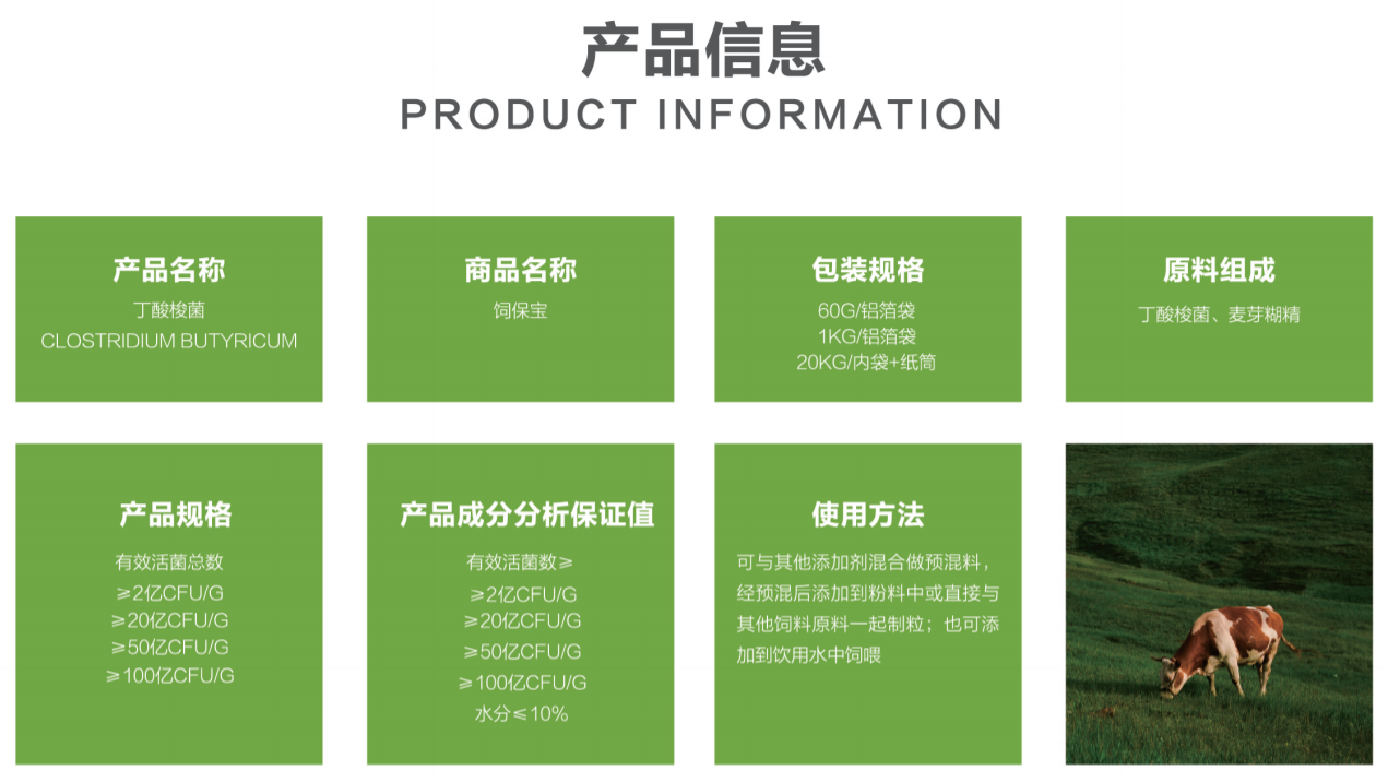 丁酸梭菌--产品信息.png