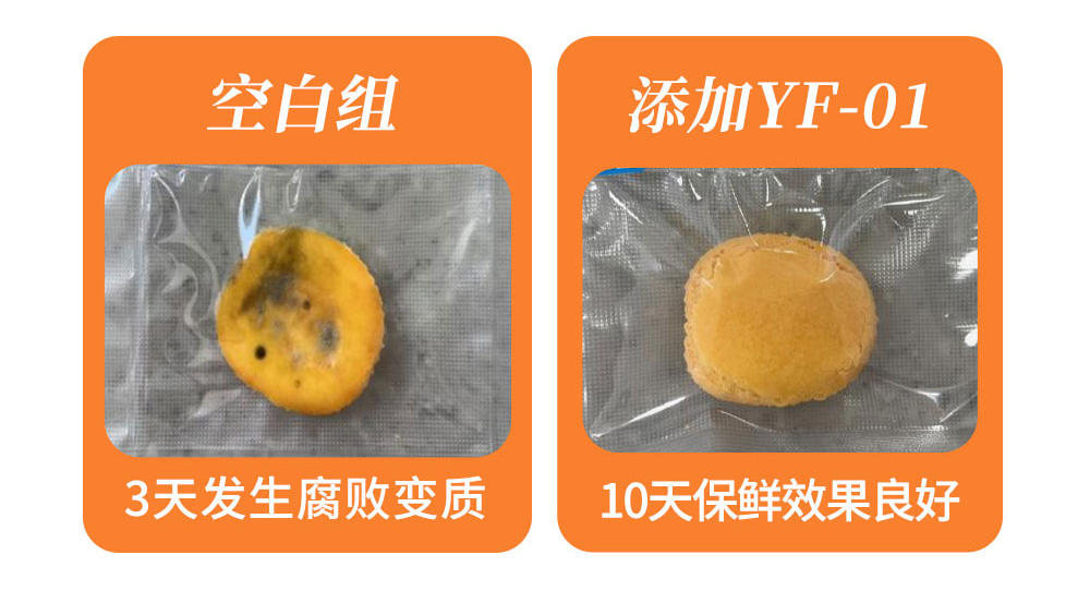 长图_05(1).jpg