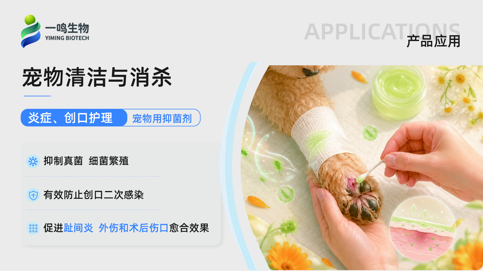 一鸣生物公司介绍（化妆品、宠物板块）-29.jpg