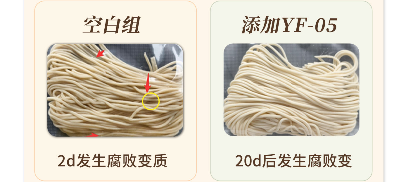 生湿面长图-恢复的_17.jpg